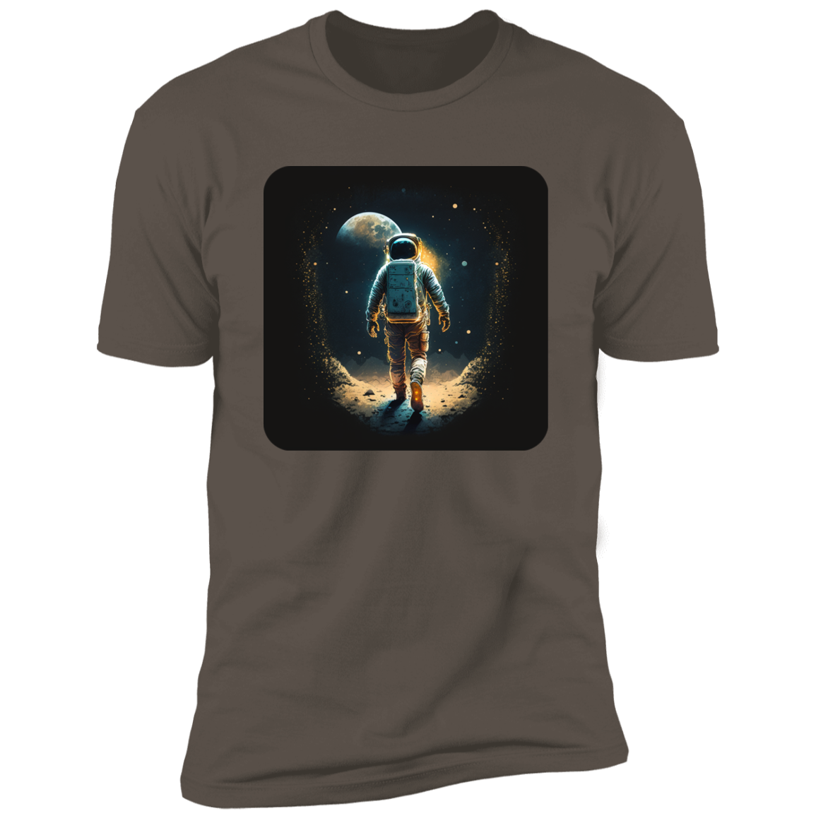 Lunar Explorer: A Solitary Journey